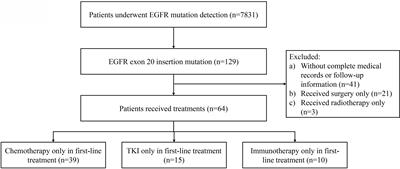 Real-world clinical treatment outcomes in Chinese non-small cell lung cancer with EGFR exon 20 insertion mutations